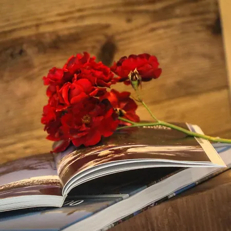 호텔 Saint-barthelemy 2*